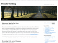 websitethinking.com