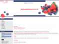 wholeapproach.co.uk