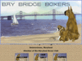 baybridgeboxers.com