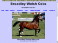 broadleywelshcobs.co.uk