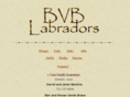 bvblabradors.com