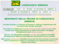 consultecoenergia.com