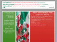 dallascincodemayo.com
