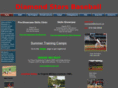 diamondstarsbaseball.com