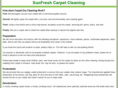 sunfreshcarpet.com