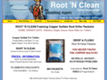 cloggedtoilettips.com
