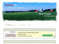 hosting-cn.com