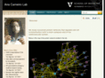 carneirolab.org