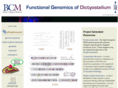 dictygenome.org