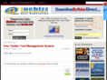 incbizzmarketingtips.com