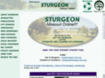 sturgeon-mo.org