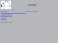 vissinger.org