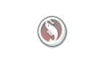 bryneshrimp.com