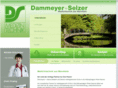 dammeyer-selzer.de