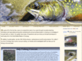 flyfishthesanjuans.com