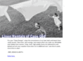 linenrentalsofcapecod.com