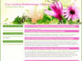 ml119.com