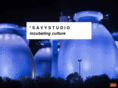 savystudios.com