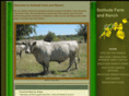 solitudefarmandranch.com