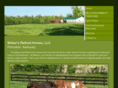 webersretiredhorses.com