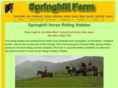 atspringhill.co.uk