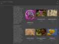 creationsoflight.com
