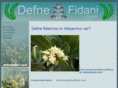 defnefidani.com