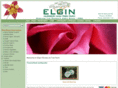elginnursery.com