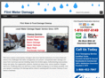flintwaterdamage.com