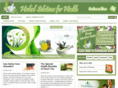 herbalsolutionsforhealth.com