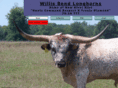 willisbendlonghorns.com