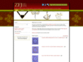 zadicsfashion.com