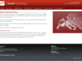 ascentsourcing.com