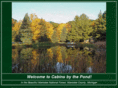 cabinsbythepond.com