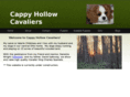 cappyhollow.com