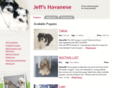 jeffshavanese.com