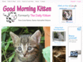 morningkitten.com