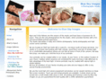 albuquerquebabyphoto.com