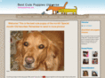 bestcutepuppiesuniverse.com