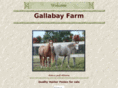 gallabayfarm.com