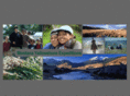 myecamp.org