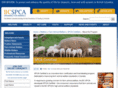 spcacertified.com