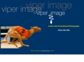 viperimage.com