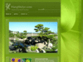 wangshijye.com