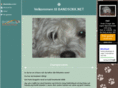 bandsokk.net