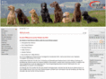 retriever.ch