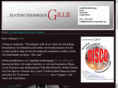 teaterforeningengille.org