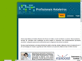 profissionaishoteleiros.com
