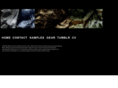 videofoam.com