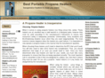 bestportablepropaneheaters.com